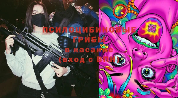 стаф Арсеньев