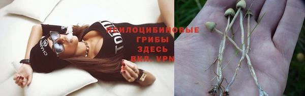 jwh Армянск