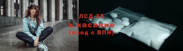 стаф Арсеньев