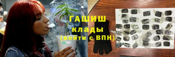 стаф Арсеньев